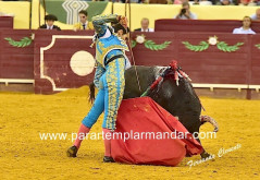 Triunfo de Manuel Dias Gomes