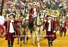 GRANDE CAMPO PEQUENO