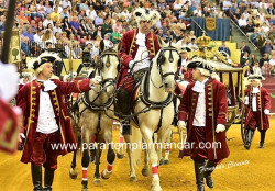 GRANDE CAMPO PEQUENO