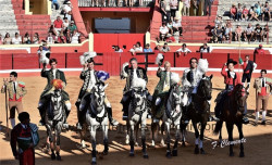 TAUROLEVE CONVIDADA A RENOVAR COM O COLISEU FIGUEIRENSE