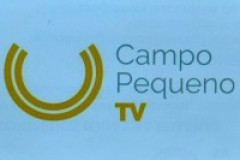 DESTAQUE CAMPO PEQUENO TV: Rui Fernandes - Escultor da Festa