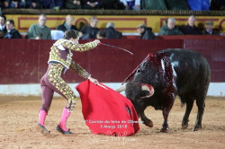 Galeria da corrida de ontem em Olivenza