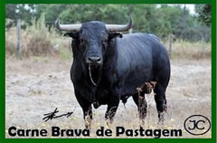 A carne vermelha é uma boa fonte de ÓMEGA 3- Carne Brava de Pastagem