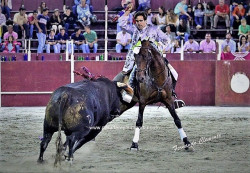 Marcelo Mendes apoderado por José Carvalho