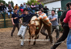 Ferra e Treino