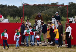 Festival Taurino - IV Festa de Campo do G.F.A. Santarém 