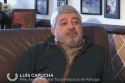DESTAQUE CAMPO PEQUENO TV: Tauromaquia a Património Cultural