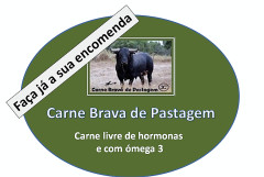 Carne Brava de Pastagem