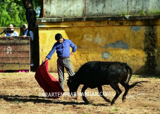 TENTA NA GANADARIA DE JOAQUIM BRITO PAES