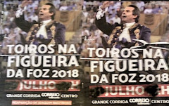 VANDALIZAÇÃO TOTAL DA PUBLICIDADE NA FIGUEIRA DA FOZ