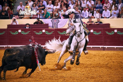 António Ribeiro Telles: O mais clássico dos cavaleiros portugueses na Corrida TVI
