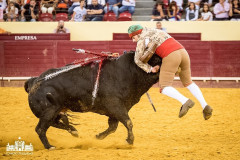 Aposento da Moita sexta-feira no Campo Pequeno