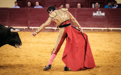 Três orelhas para Padilla nas corridas de fim de semana em Espanha 