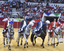Classe e Mestria  na corrida de Elvas