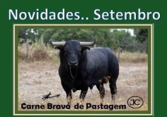 Novidades Setembro da CARNE BRAVA de Pastagem
