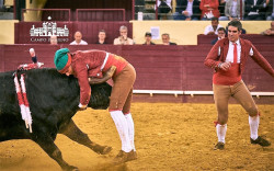 Grupo de Forcados Amadores de Lisboa, quinta-feira na corrida de Gala