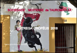 S.T.M. - Sociedade Moitense de Tauromaquia, SA.,