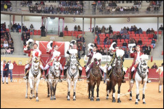 Imagens da corrida de 28  Outubro em Évora
