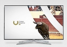 ESTREIAS CAMPO PEQUENO TV - NOVEMBRO
