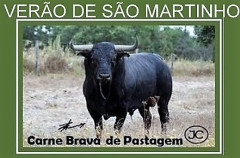  Novidades de CARNE BRAVA DE PASTAGEM !