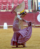 Dia da Tauromaquia - Sevilhanas e Famenco