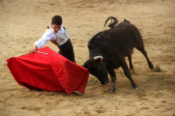 Diogo Peseiro Lutando ...