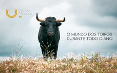 ESTREIAS EM MAIO NO CAMPO PEQUENO TV