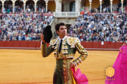 Cayetano Rivera Ordoñez destaca-se em Sevilha