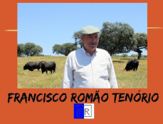 Peso dos Toiros para a corrida de hoje - 16 Maio