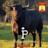 TOIROS PALHA APROVADOS PARA A CORRIDA DE HOJE À TARDE NA MOITA DO RIBATEJO