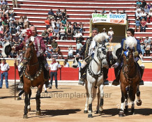 Agradável  Corrida  na Praça de Toiros da Moita