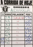O peso dos s Charruas para hoje em Alcochete