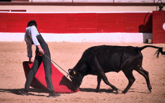 Alunos da Academia de Toureio do Campo Pequeno no Montijo 