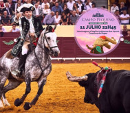 Manuel Ribeiro Telles Bastos: O classicismo no toureio a cavalo que perdura nos dias de hoje