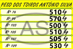 PESO DOS TOIROS DE HOJE PARA O COLISEU DE REDONDO