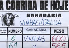 O peso dos Vinhas e Palhas para hoje em Alcochete