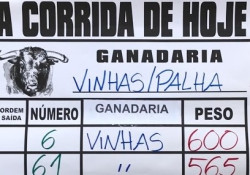 O peso dos Vinhas e Palhas para hoje em Alcochete