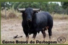 PRODUTOS 100% CARNE VACA SEM MISTURAS