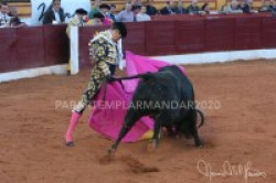 Já são conhecidos os triunfadores da Feira de Olivença