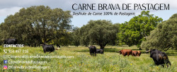 Faça a sua encomenda e desfrute da Carne Brava de Pastagem