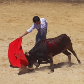 Salvador Vega e o novilhero Álvaro Senseña na Murteira Grave