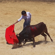 Salvador Vega e o novilhero Álvaro Senseña na Murteira Grave