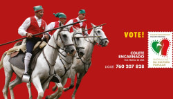 Já é conhecido o número de telefone que pode fazer do Colete Encarnado em Vila Franca de Xira o vencedor das 7 Maravilhas da Cultura Popular!