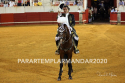  Praça de Touros de Estremoz,11 de Julho, a 1ª Corrida de Touros do Pós-Confinamento.
