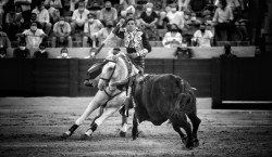 Triunfo de  Diego Ventura em Osuna