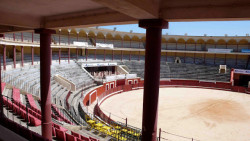 COLISEU FIGUEIRENSE RECEBE DUAS CORRIDAS DE TOIROS EM TEMPORADA ESPECIAL