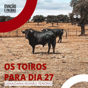 Toiros de Romão Tenório para dia 27 no Campo Pequeno