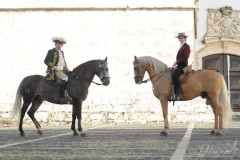 Os toiros de Branco Núncio para 5 de Setembro em Estremoz