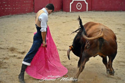 DIOGO PESEIRO, em Salamanca