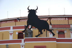 VILA FRANCA SERÁ A CAPITAL DA TAUROMAQUIA